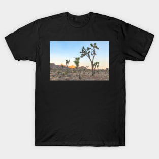 Joshua Trees Morning T-Shirt